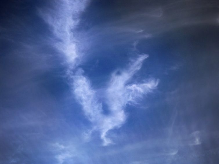 龍に見える雲